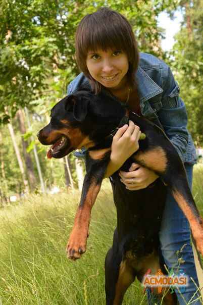 Екатерина  Корж фото №946172. Завантажено 18 Серпня 2016