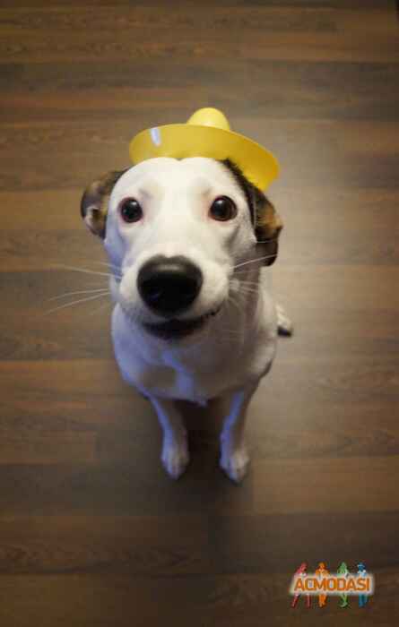 Екатерина Андреевна Петрова фото №892385. Завантажено 17 Березня 2016