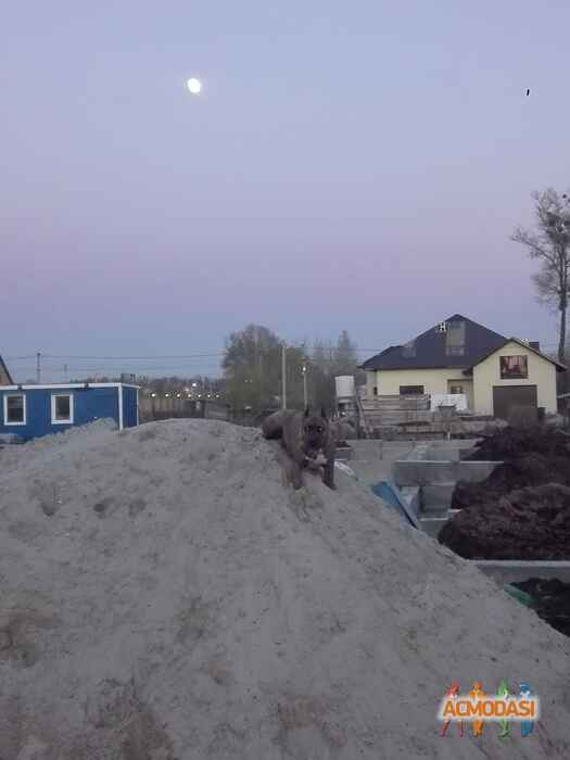 Алексей Александрович Чернецов фото №1053651. Завантажено 14 Травня 2017