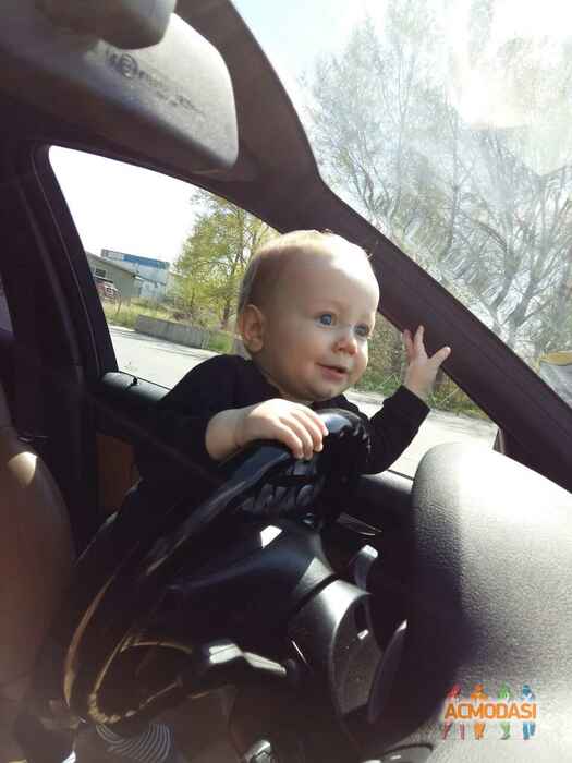 Лука   фото №1050861. Завантажено 06 Травня 2017