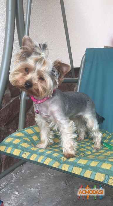 Наталія Семенівна Назар фото №1466704. Завантажено 27 Жовтня 2019