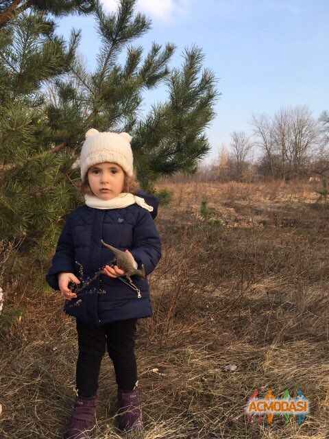 Сич Наталія Ігорівна фото №1113564. Завантажено 06 Жовтня 2017