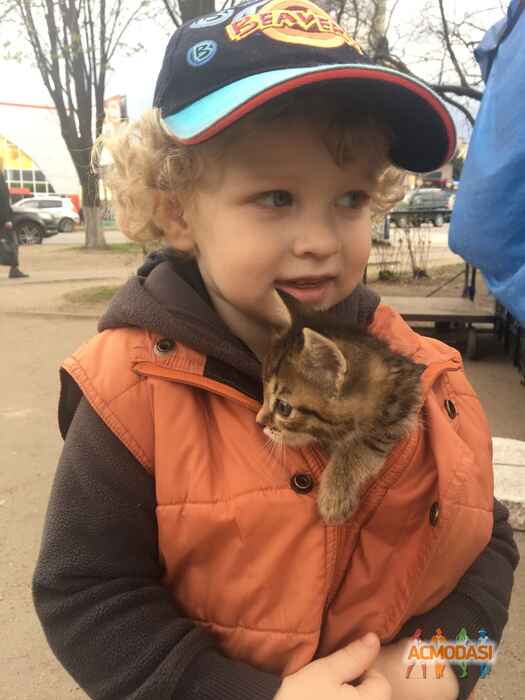 Марина Станиславовна Балынская фото №1421136. Завантажено 10 Липня 2019