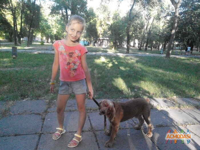 Алина   фото №1076458. Завантажено 09 Липня 2017