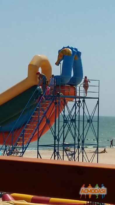 Yana  Fedulova фото №1073624. Завантажено 02 Липня 2017