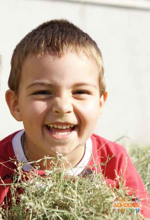 Никита   фото №1008538. Завантажено 18 Січня 2017