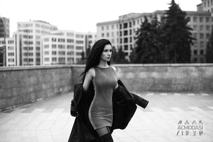 Kamellia   фото №1058565. Завантажено 25 Травня 2017