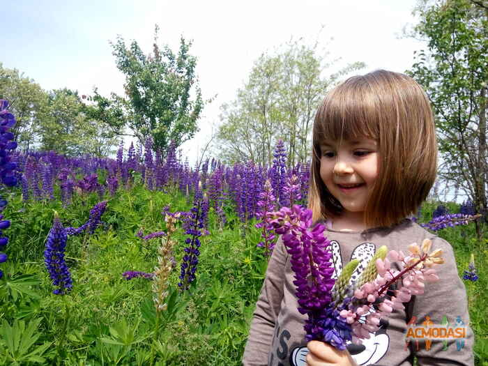 Надя  Мезенцева фото №1114699. Завантажено 08 Жовтня 2017