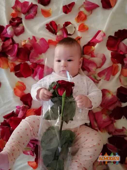 Яна-Іванна Олегівна Королишина фото №1482069. Завантажено 30 Листопада 2019