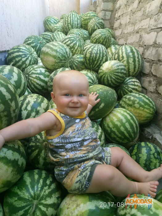 Алиса Юрьевна Писоцкая фото №1111561. Завантажено 02 Жовтня 2017