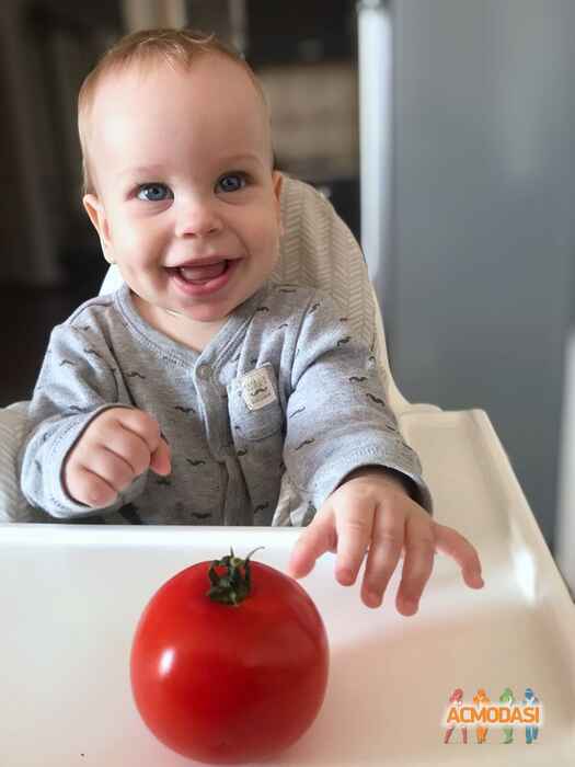 Леонардо   фото №1537919. Завантажено 11 Червня 2020