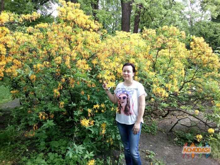 Ольга  Жалей фото №916552. Завантажено 03 Червня 2016