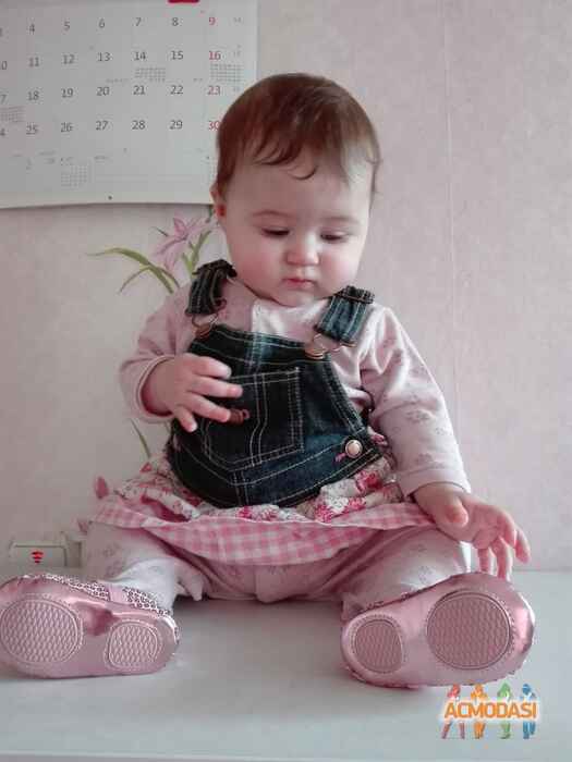 Николай Михайлович Панiн фото №1038769. Завантажено 01 Квітня 2017
