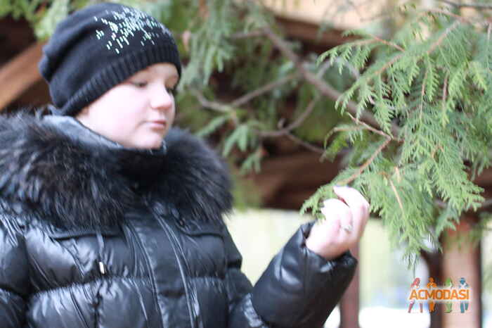 Елена Викторовна Прийма фото №544350. Завантажено 30 Листопада 2013