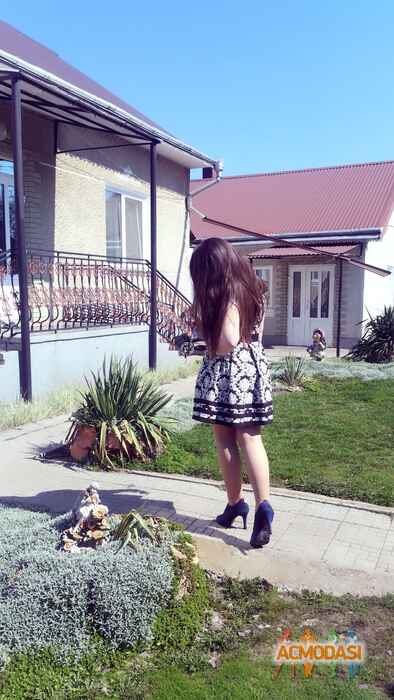 Сандра  Кох фото №1039619. Завантажено 04 Квітня 2017