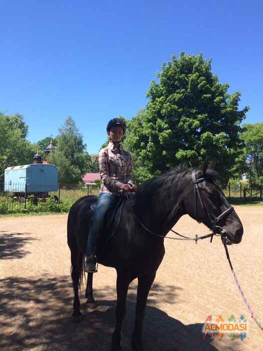 Марина  Самойленко фото №1088492. Завантажено 07 Серпня 2017