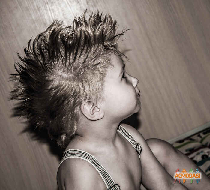 Всеволод  Каменчук фото №1070762. Завантажено 25 Червня 2017