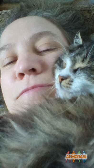 Ольга   фото №1018572. Завантажено 10 Лютого 2017