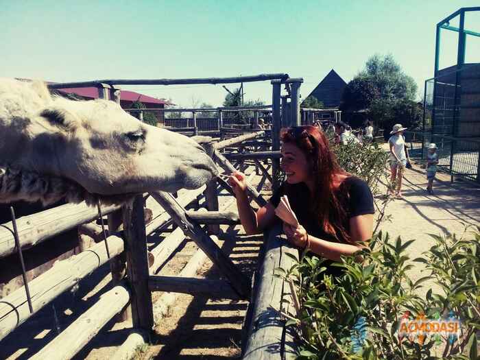 Елизавета Владиславовна Бундакова фото №1094231. Завантажено 21 Серпня 2017