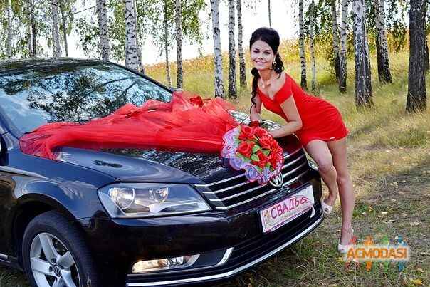 Юлiя Петрiвна Калантиренко фото №1135779. Завантажено 13 Листопада 2017