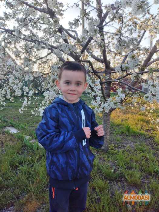 Михайло Максимович Вязь фото №1524694. Завантажено 23 Квітня 2020