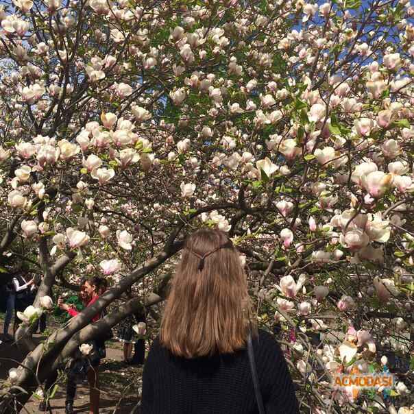 Олександра Сергіївна Пушенко фото №1057854. Завантажено 23 Травня 2017