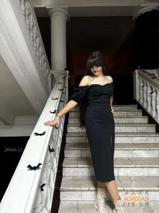 Viktoriia   фото №1739916. Завантажено 19 Лютого 2025
