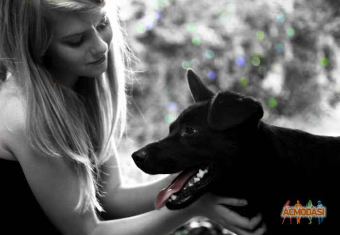 Мельничук Мария Ивановна фото №103403. Завантажено 12 Листопада 2011