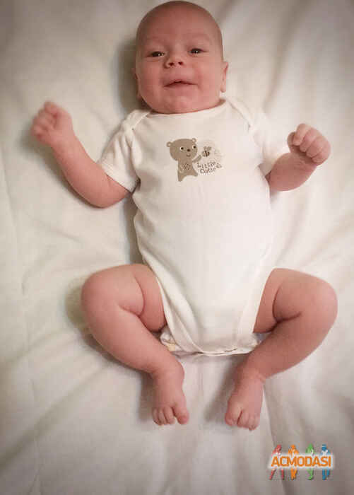 Роман Константинович Калашник фото №1180085. Завантажено 05 Лютого 2018