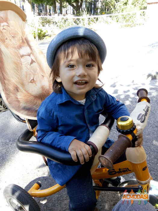 Амир Алиасхабович Алиев фото №1069342. Завантажено 21 Червня 2017