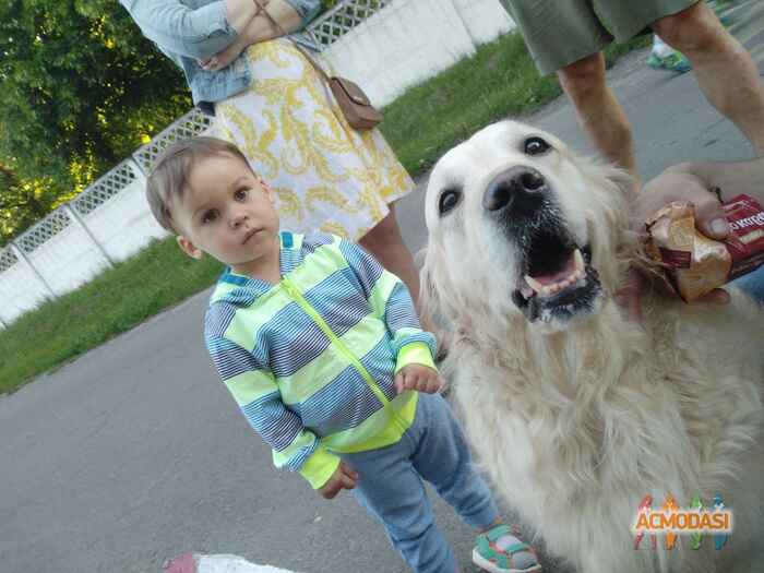 Костянтин Кирилович Підлісний фото №1420669. Завантажено 10 Липня 2019