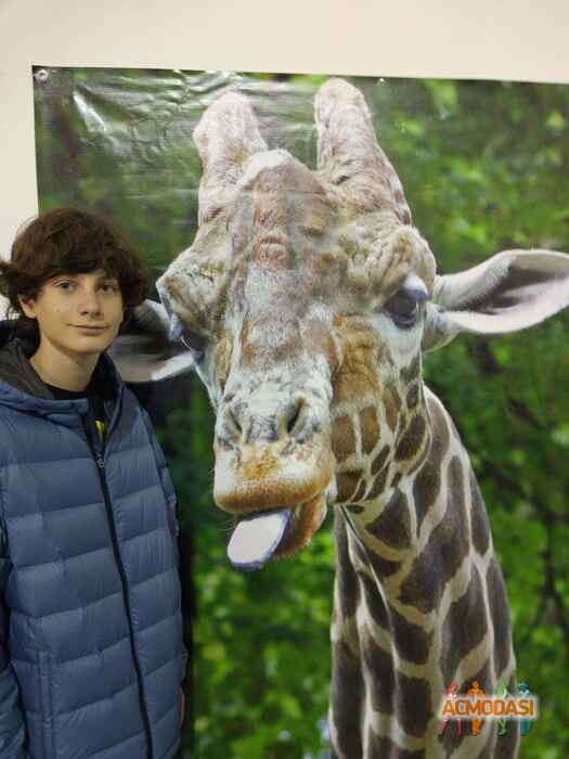 Людмила Володимирівна Бауман фото №1333110. Завантажено 05 Грудня 2018