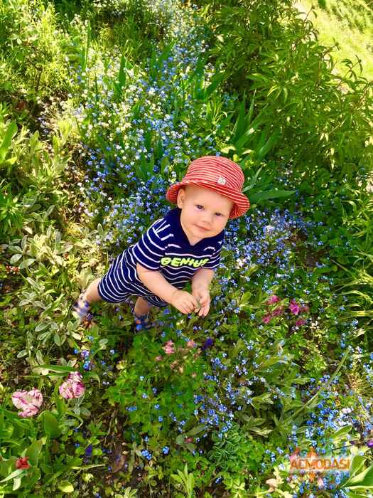 Денис Олександрович Будьонний фото №1052312. Завантажено 10 Травня 2017