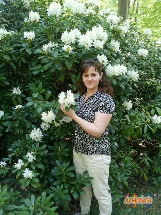 Наталья  Минтий фото №1028362. Завантажено 05 Березня 2017