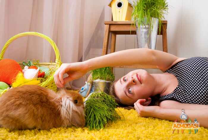 Крістіна Русланивна Гончар фото №964483. Завантажено 29 Вересня 2016