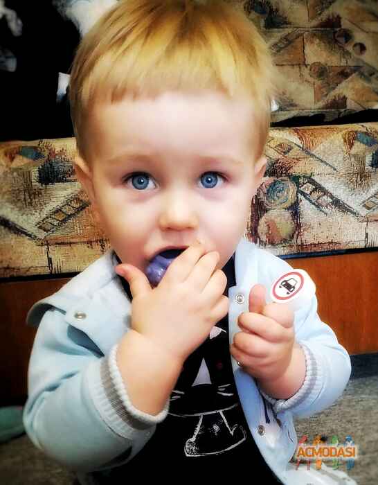 Святослав Назарович Мухачов фото №1389972. Завантажено 16 Квітня 2019