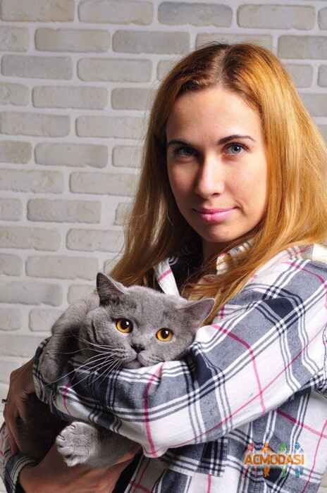 Дарья Николаевна Величко фото №862905. Завантажено 21 Грудня 2015