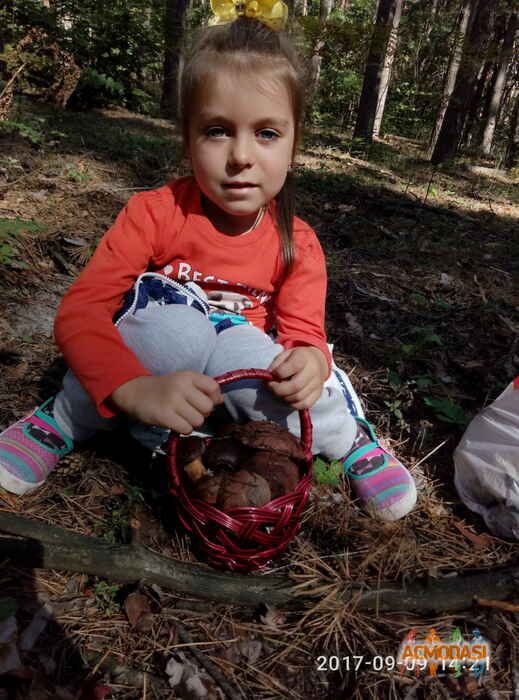 Елена Викторовна  фото №1103874. Завантажено 13 Вересня 2017