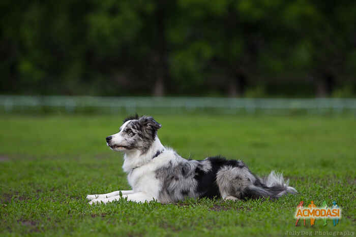 Юлия Михайловна Самохвалова фото №1025935. Завантажено 27 Лютого 2017