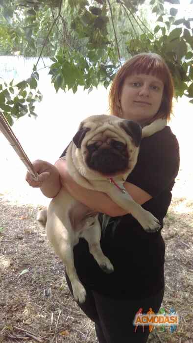 Ксения  Ретунская фото №1102142. Завантажено 09 Вересня 2017