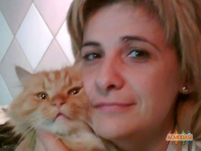 Елена Ивановна Плотникова фото №553127. Завантажено 15 Грудня 2013