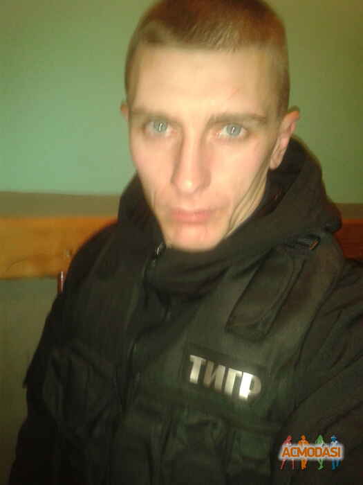 Vova  Tiger фото №1039051. Завантажено 02 Квітня 2017