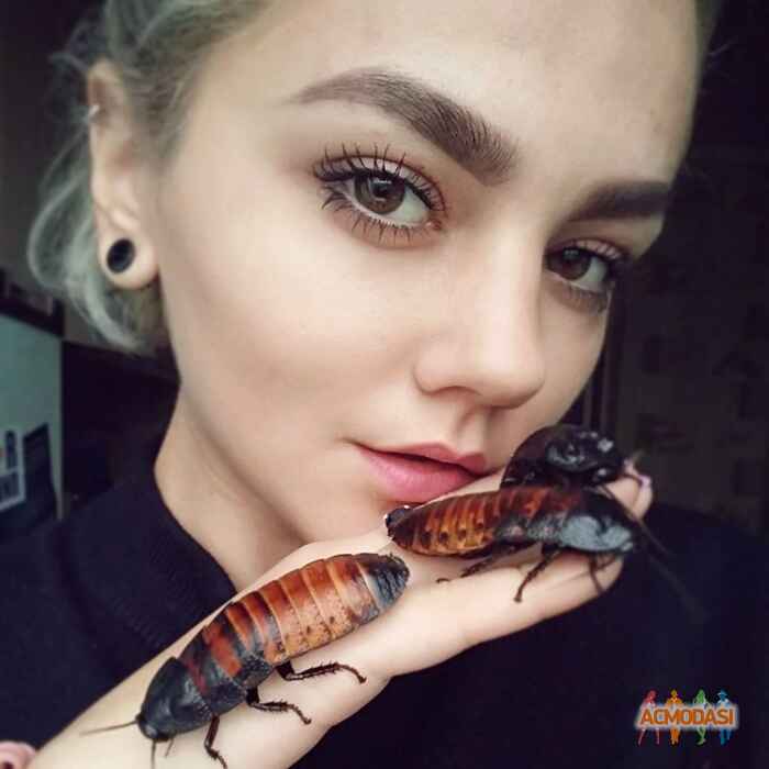 Катерина Василівна Сташок фото №1141359. Завантажено 22 Листопада 2017