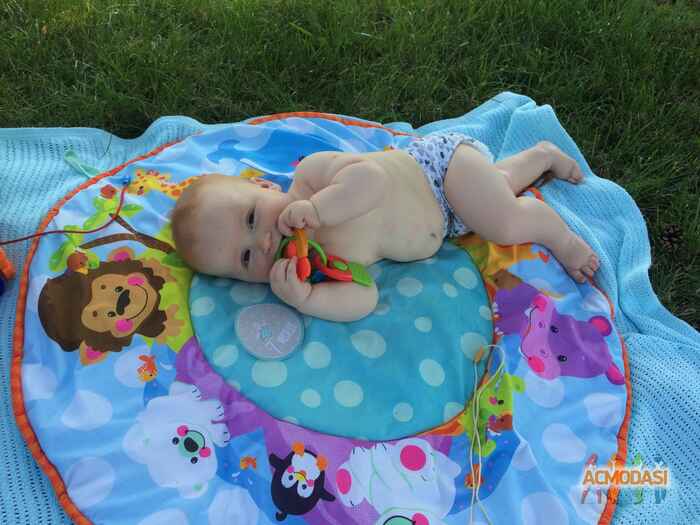 Михаил Гошко Сергеевич фото №932159. Завантажено 14 Липня 2016