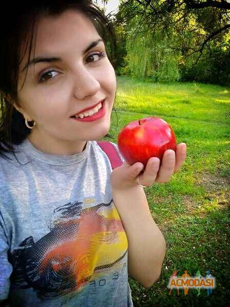 Юлія Анатоліївна Федьків фото №1063648. Завантажено 08 Червня 2017