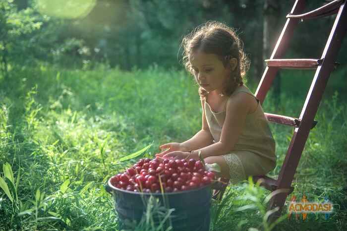 Adèle  Grebinets фото №1640403. Завантажено 13 Липня 2021