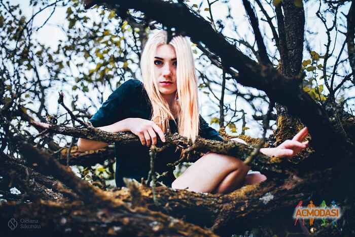 Еля  Шевченко фото №1030021. Завантажено 10 Березня 2017