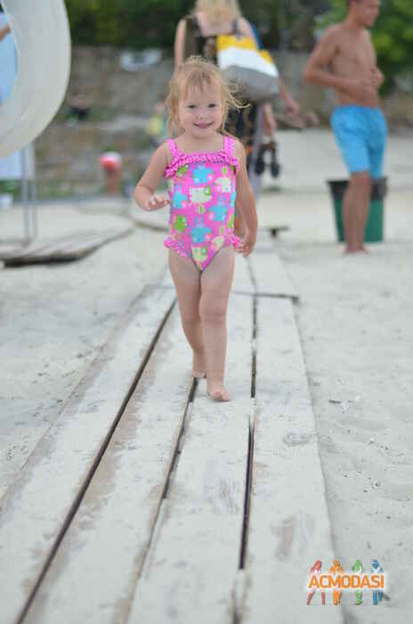 Александр  Смаленый фото №1031440. Завантажено 14 Березня 2017