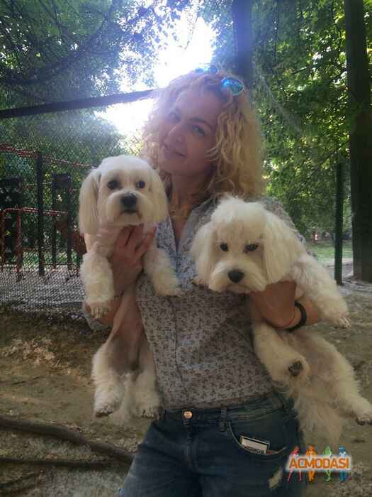 Антон Анатольевич Коломиец фото №1151107. Завантажено 10 Грудня 2017