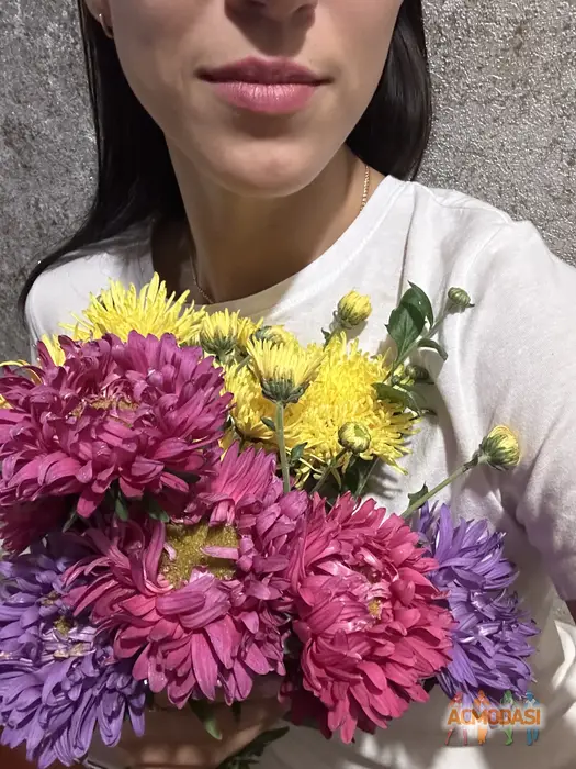 Катерина  Кобижча фото №1750652. Завантажено 19 Грудня 2025